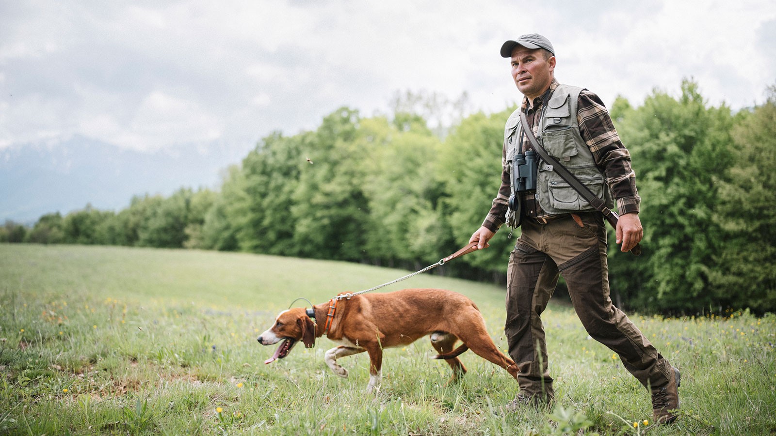 Force Factor Prostate Review: Is It Safe and Effective? Force Factor Prostate Review: Is It Safe and Effective?