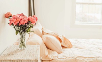 Peptiva Probiotics Review: Pros, Cons, and More Peptiva Probiotics Review: Pros, Cons, and More