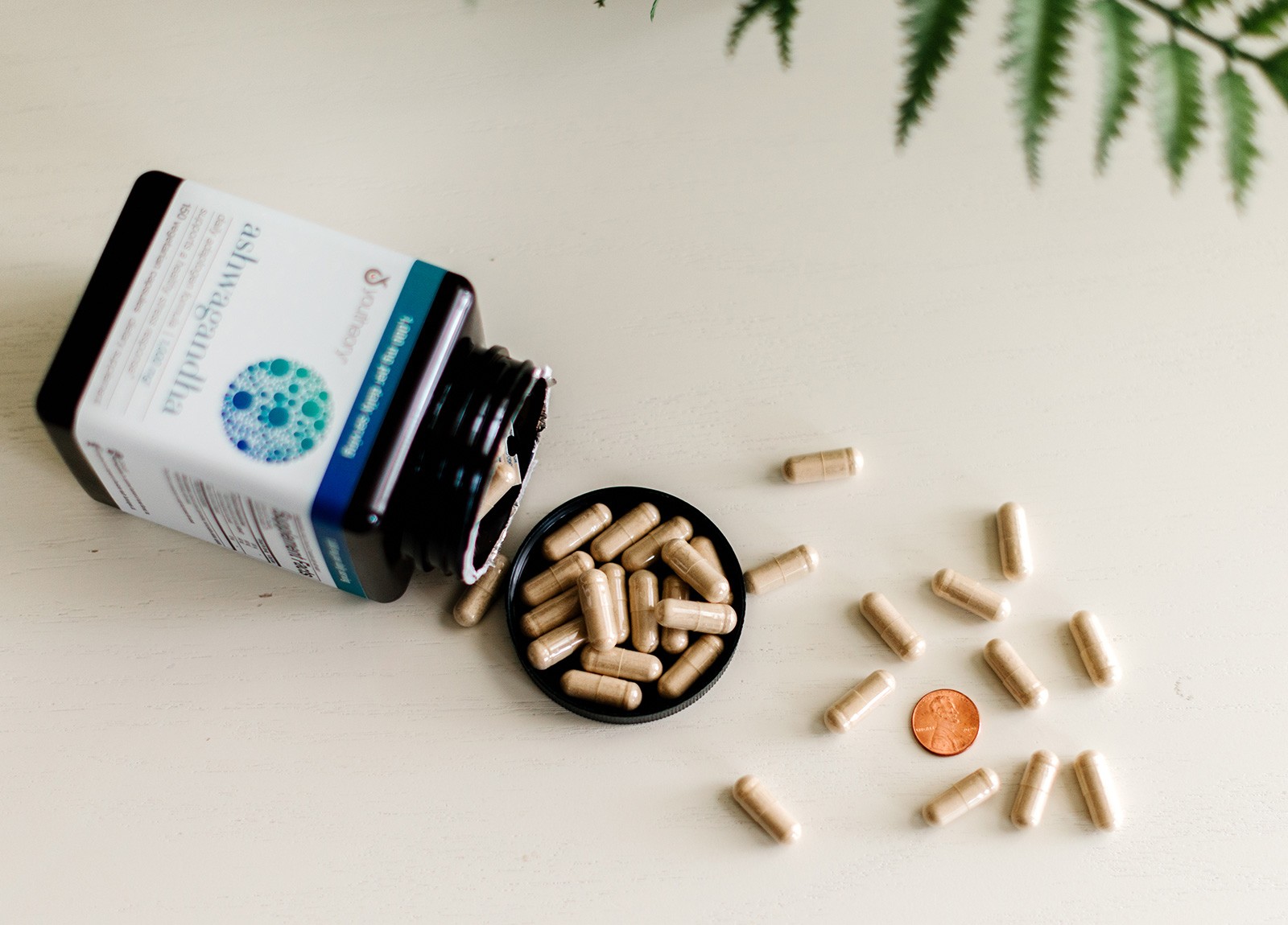 Youtheory Ashwagandha capsules